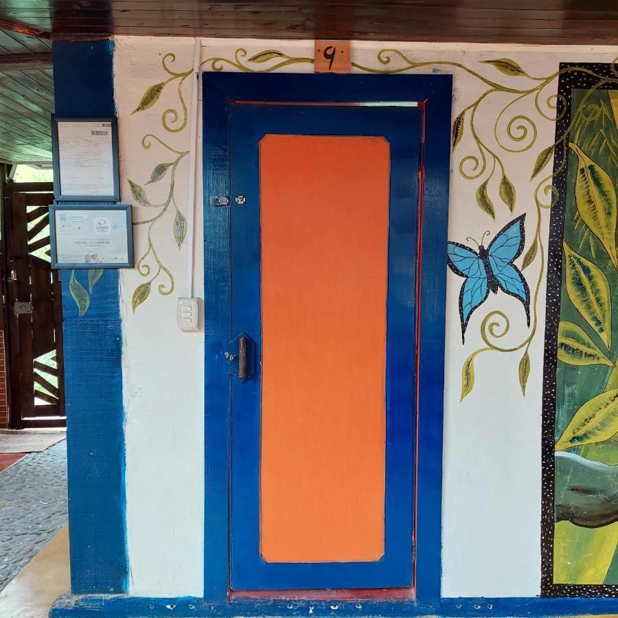 Hostal La Pijarana Salento Buitenkant foto
