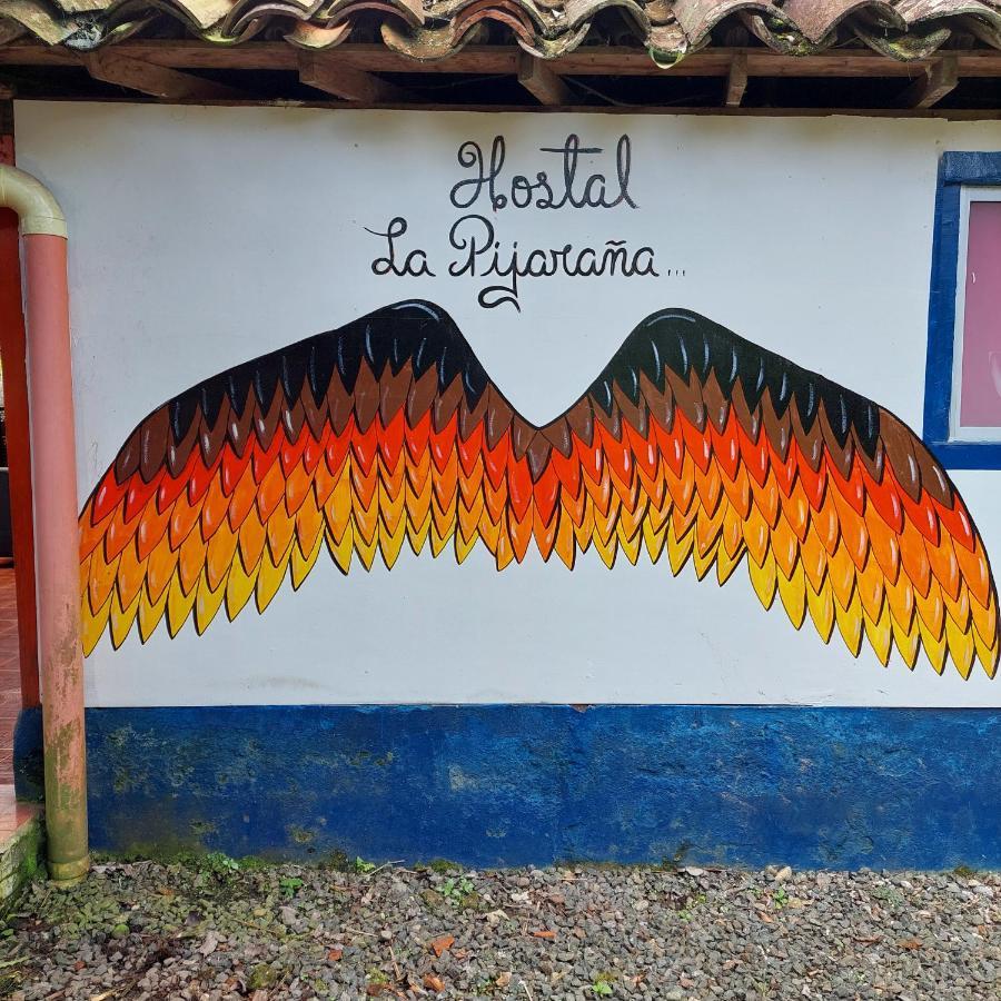 Hostal La Pijarana Salento Buitenkant foto